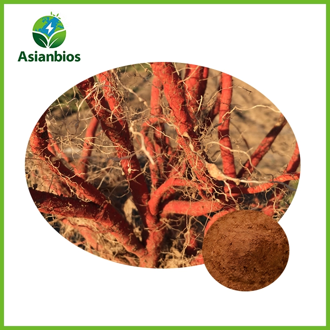 Miltiorrhiza Root Extract Powder